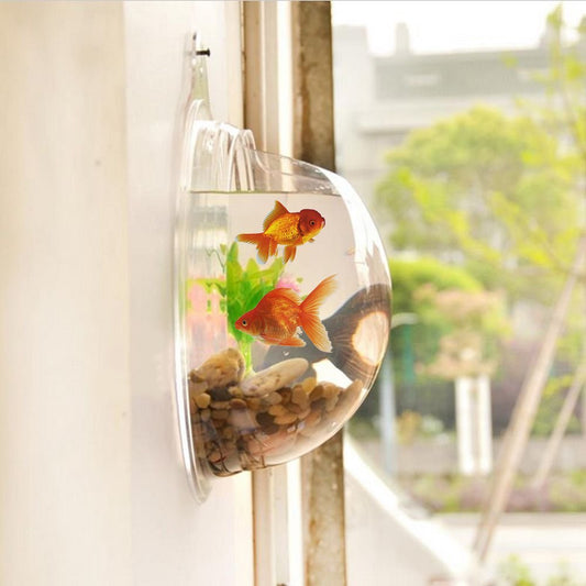 Wall-Mounted Fish Bowl