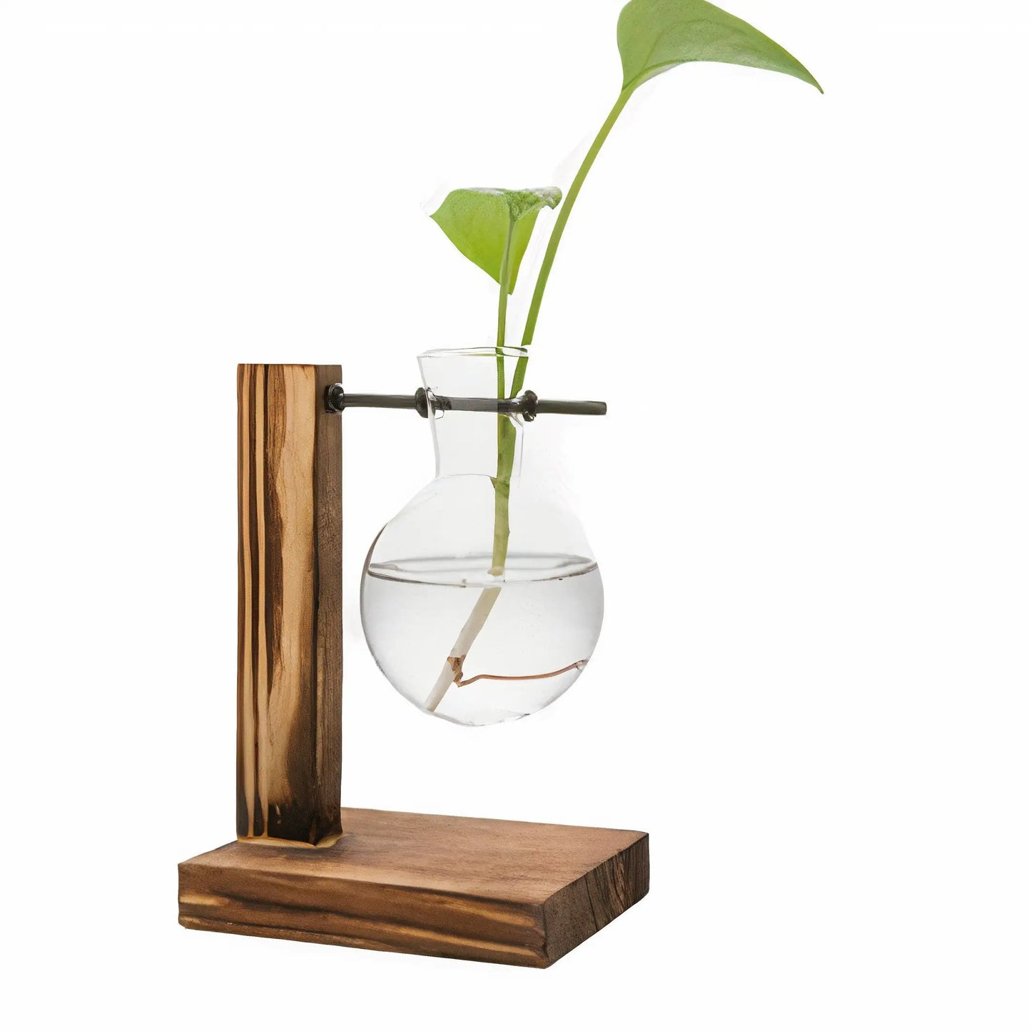 Harmony Hydro Vase