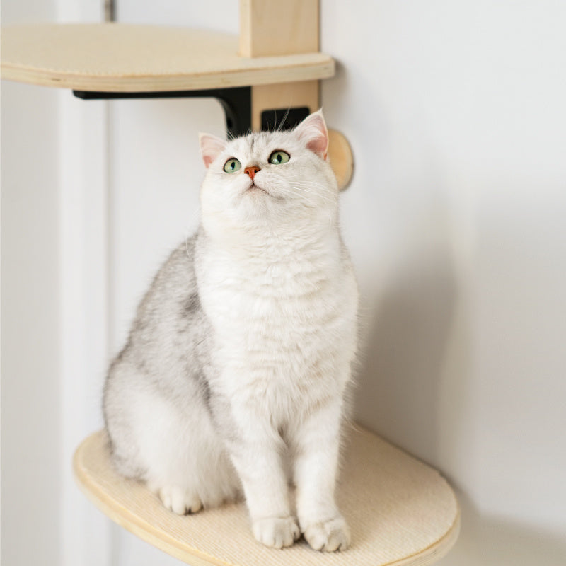 Kitty Climb Tower - Eco Friendly Wall Decor